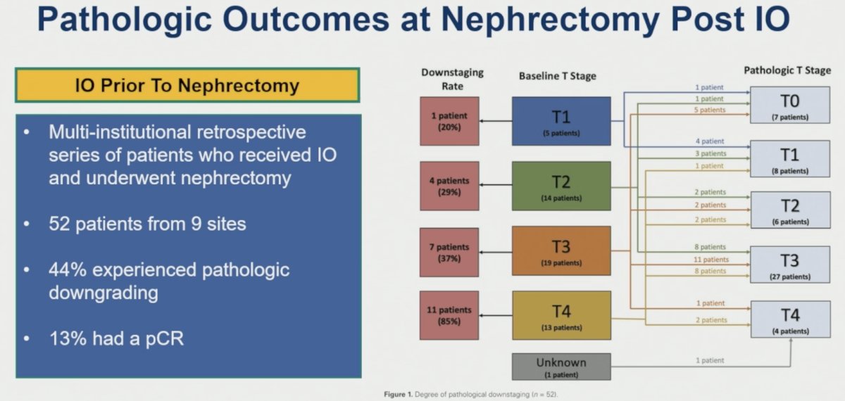 Additional retrospective data suggest that neoadjuvant immunotherapy may generate meaningful pathologic responses. In a multi-institutional retrospective series of 52 patients treated with immunotherapy prior to nephrectomy, 44% experienced pathologic downstaging and 13% achieved a pathologic complete response. Downstaging rates increased with higher baseline tumor stage, reaching 85% among patients with T4 disease.
