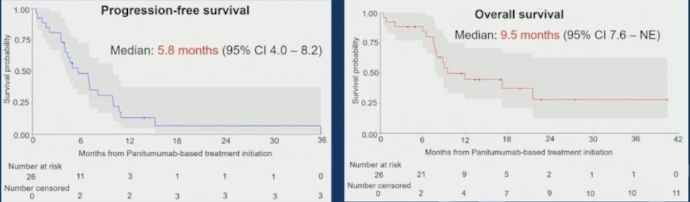 The median progression-free survival was 5.8 months (95% CI 4.0–8.2), and the median overall survival was 9.5 months (95% CI: 7.6–NE):