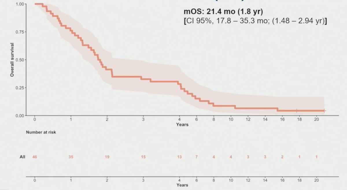 The median overall survival was 21.4 months (95% CI 17.8–35.3):