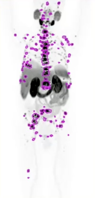 image-1.jpg