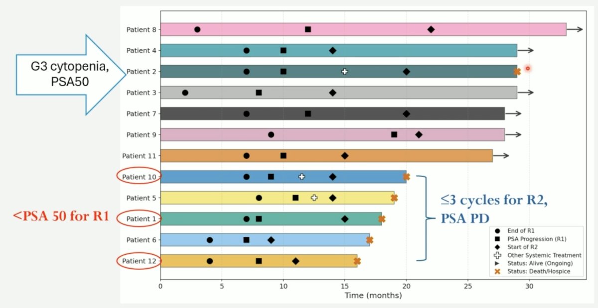 The Swimmers plot for these patients is highlighted in the following figure: