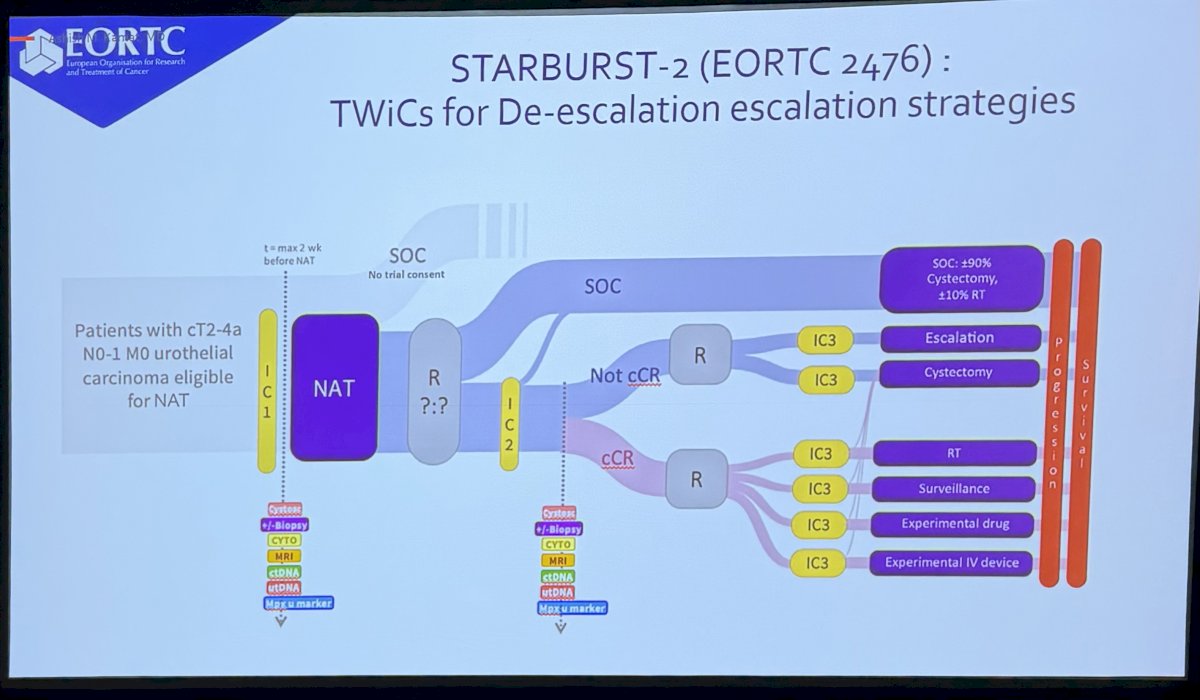 He highlighted the STARBURST-2 (EORTC 2476) platform trial, an adaptive study designed to evaluate both de-escalation and escalation strategies following neoadjuvant therapy in MIBC.