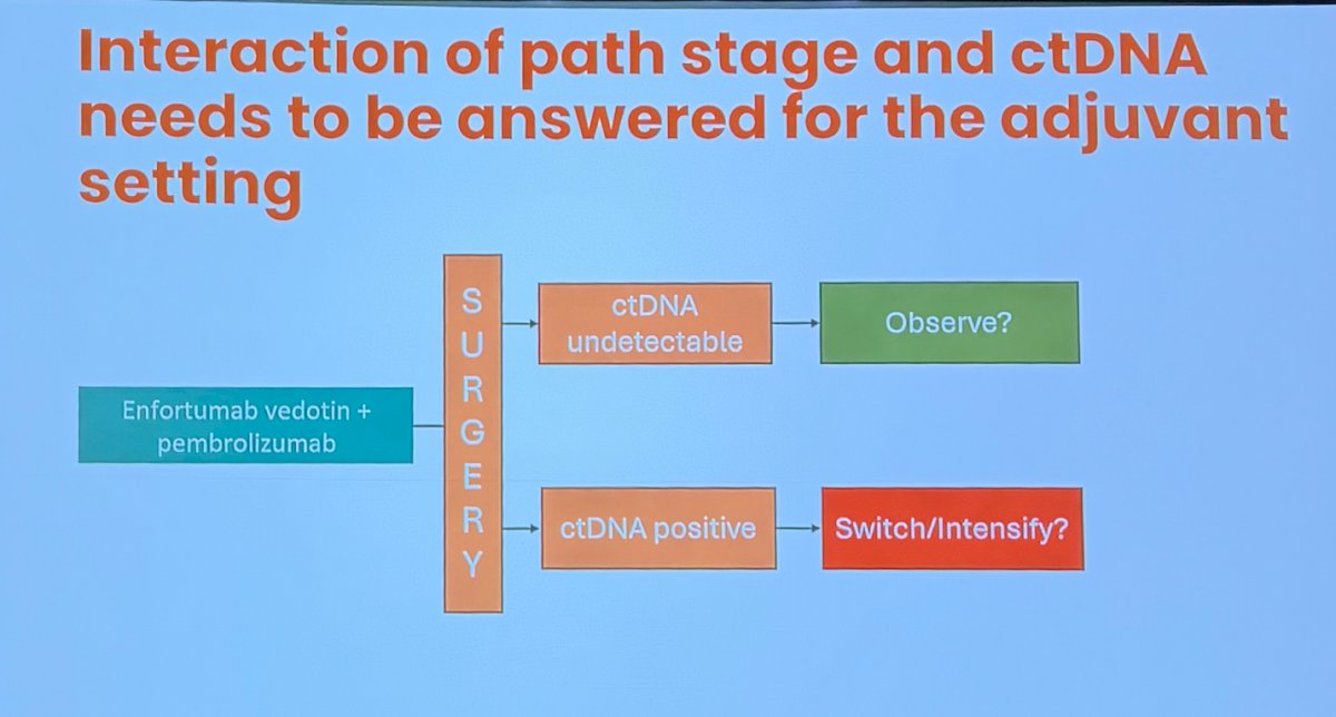 Moreover, the interaction between pathologic stage and ctDNA status remains one of the most important unanswered questions in the adjuvant setting. He proposed a framework in which patients with undetectable ctDNA following surgery could potentially be observed, whereas those with persistent ctDNA positivity may warrant treatment escalation or a change in therapy.