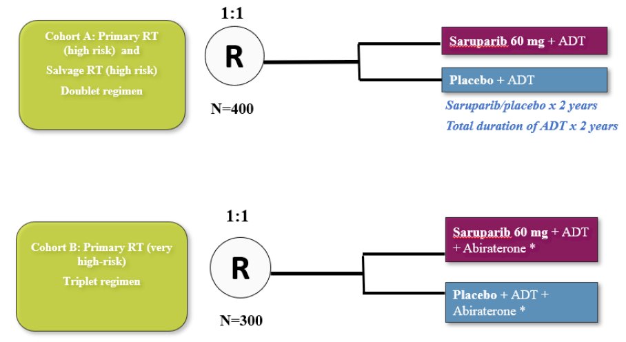 Having established the prevalence of these alterations, Dr. Ross transitioned to opportunities for biomarker-selected clinical trials in localized disease. EvoPAR-Prostate02 is a randomized, double blind, placebo-controlled phase III trial evaluating adjuvant saruparib (AZD5305) following radiotherapy and ADT in patients with BRCA-mutated localized high-risk prostate cancer: