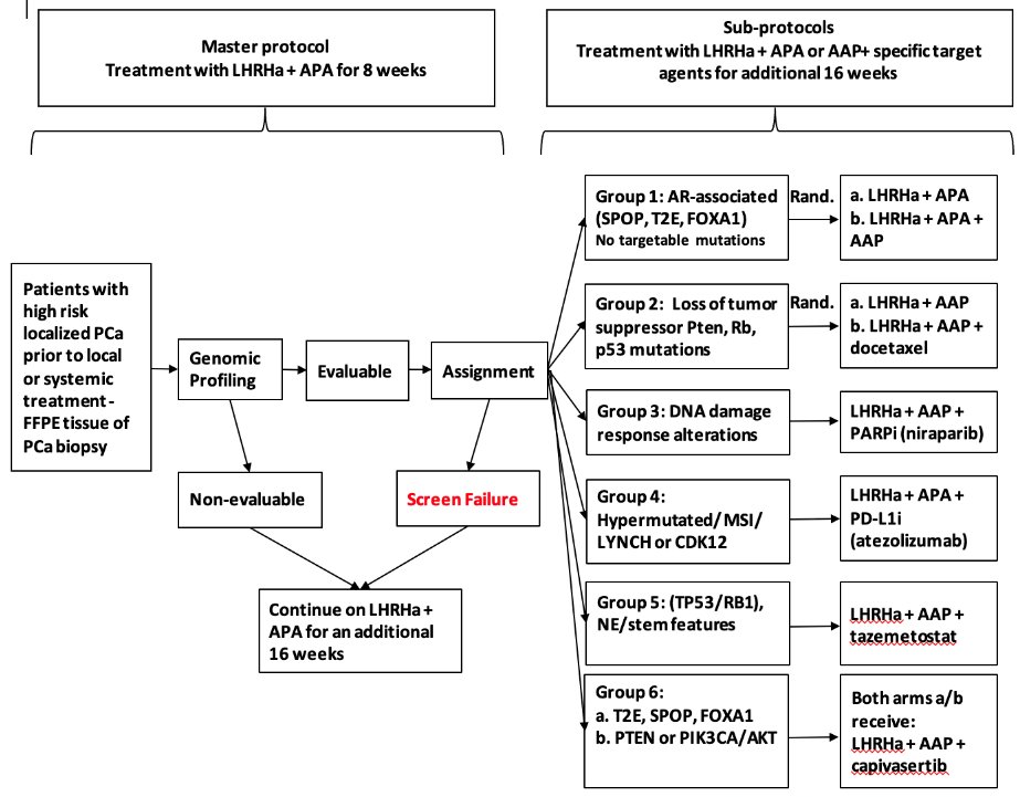 A second example of precision oncology in localized prostate cancer is the GUNS trial (Genomic biomarker-selected umbrella neoadjuvant study for high-risk localized prostate cancer; PI Dr. Martin Gleave). Rather than evaluating a single targeted therapy, GUNS employs an umbrella design in which patients are assigned to biomarker-selected neoadjuvant treatments based on the genomic profile of their tumors: