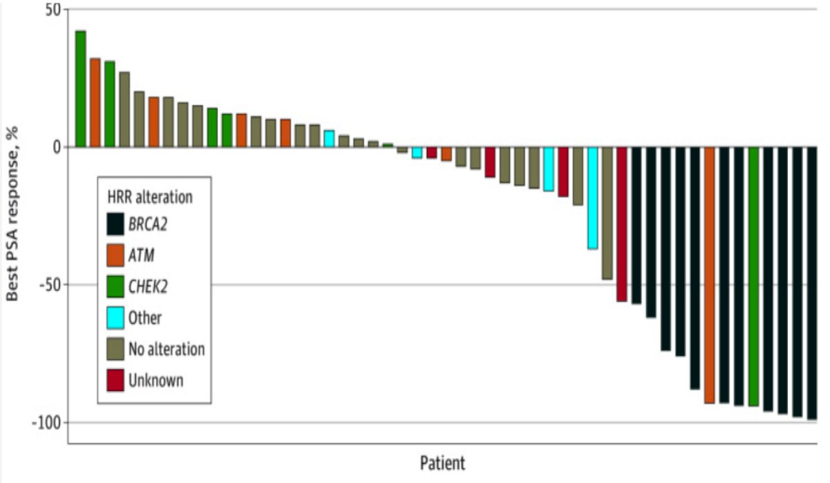 Recently, there has been phase II data reported evaluating olaparib in patients with high-risk biochemical recurrence.1 All patients received olaparib monotherapy until disease progression. Among the 11 patients harboring germline or somatic BRCA mutations, every patient experienced a PSA50 response or better: