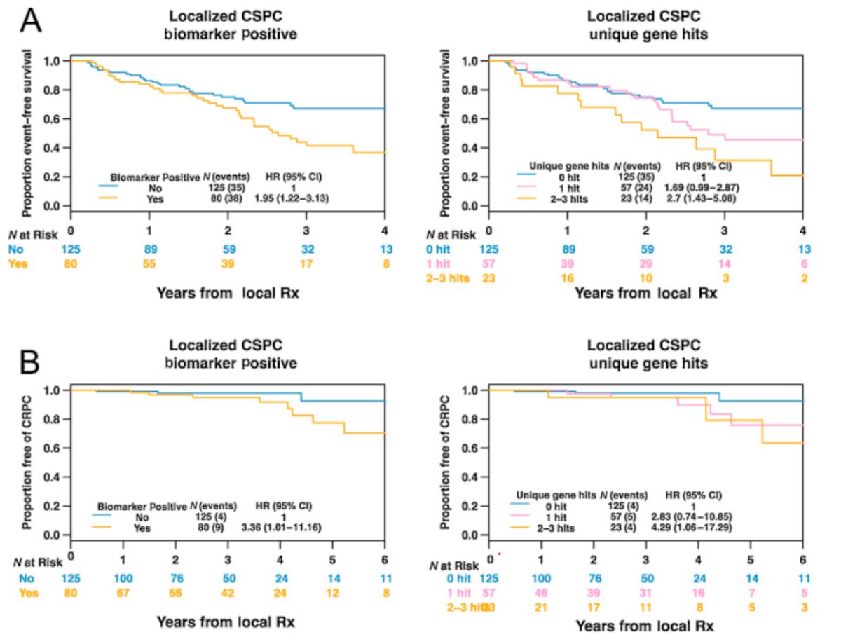 Beyond therapeutic implications, Dr. Ross emphasized the prognostic value of somatic genomic alterations.2,3 Alterations involving RB1, combined alterations in TP53/PTEN/RB1, and CDK12 loss have consistently been associated with worse clinical outcomes, including biochemical recurrence, metastatic progression, and development of castration resistant disease. Conversely, SPOP mutations appear to define a biologically distinct subgroup with a comparatively more favorable prognosis, particularly among patients receiving ADT: