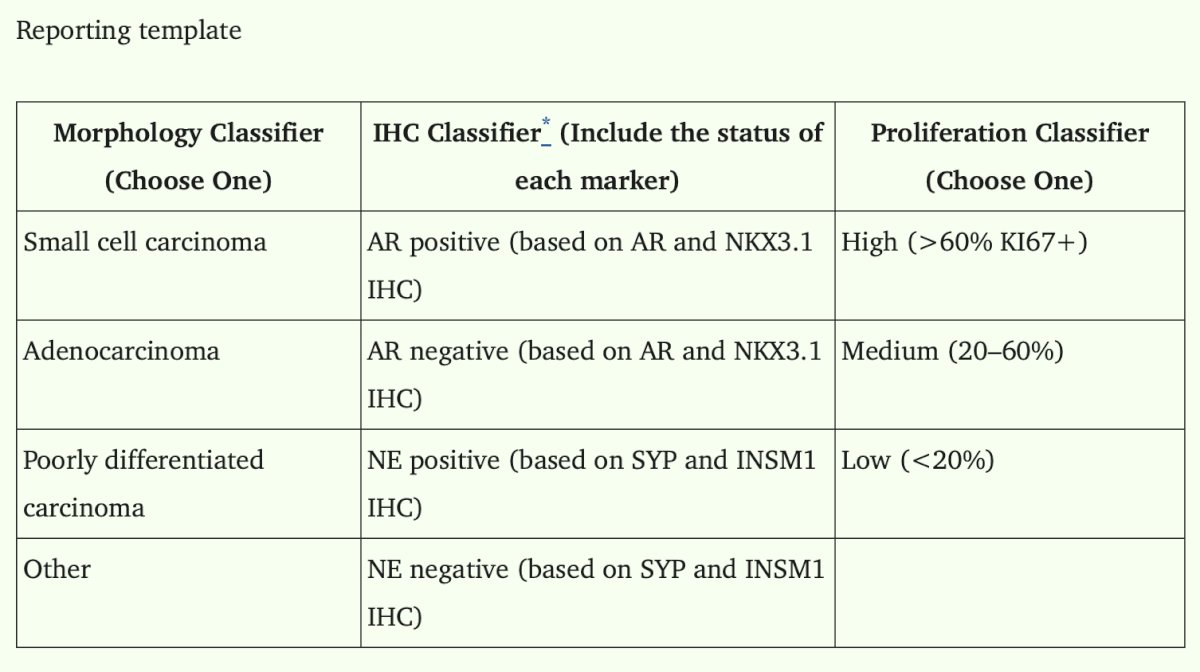 Dr. Cheng discussed standardized immunohistochemical definitions of biomarker positivity,4 emphasizing that androgen receptor-positive tumors may demonstrate either androgen receptor or NKX3.1 reactivity, whereas neuroendocrine-positive tumors require synaptophysin or INSM1 staining involving at least 20% of tumor cells with a staining intensity of at least 1+. These standardized Haffner criteria help distinguish clinically meaningful neuroendocrine differentiation from isolated focal staining: