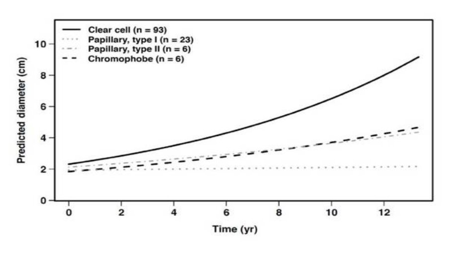 phenotypic characterization of renal masses_7.jpg