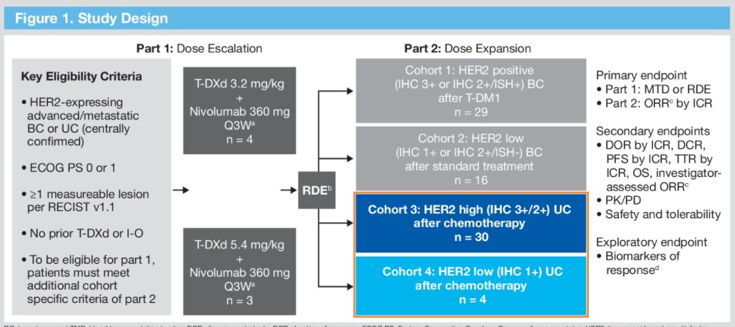 ASCOGU22_T-DXd with nivolumab_Galsky-0.jpg