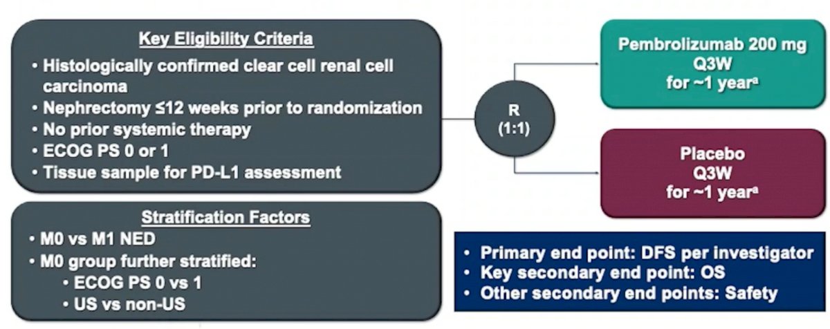 adjuvant therapy-1.jpg