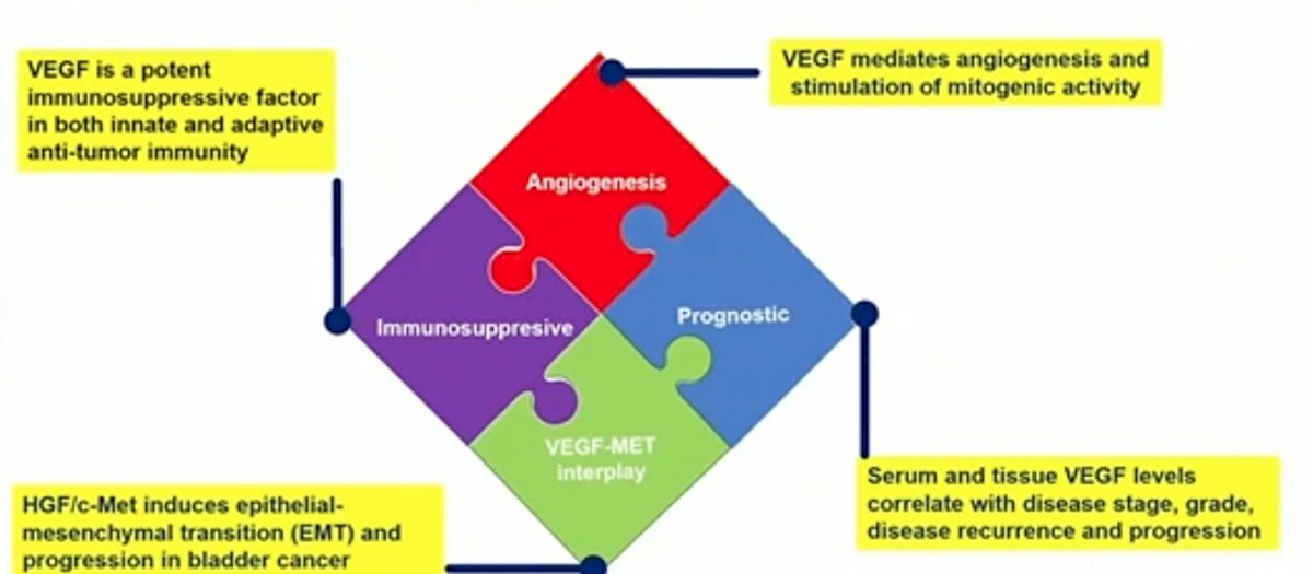 ASCO_VEGF-TKIs-1.jpg