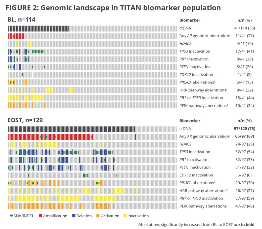 TITAN-1.jpg