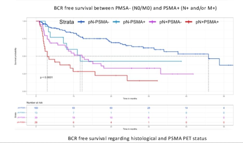 68Ga-PSMA-11 PET-1.jpg