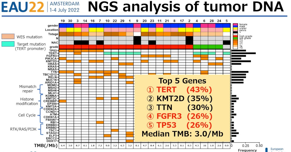 ctDNA-3.jpg