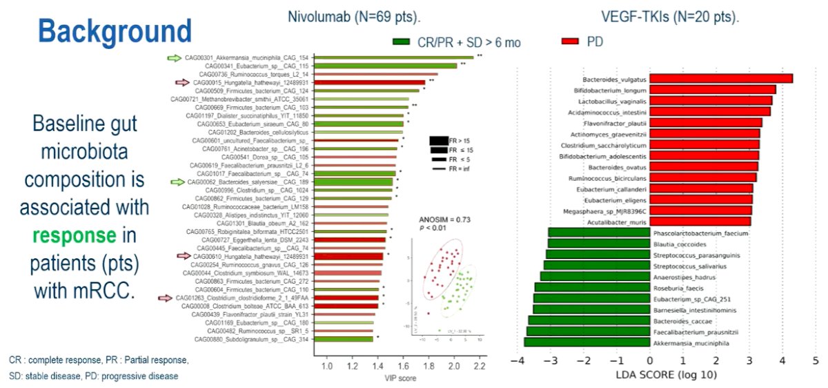 gut microbiota-0.jpg