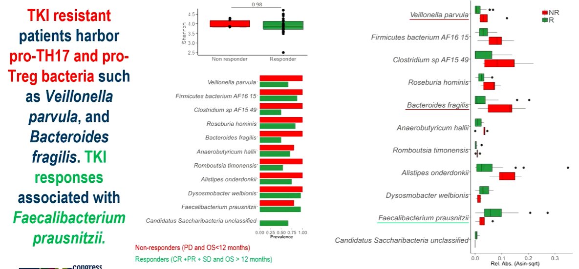 gut microbiota-3.jpg