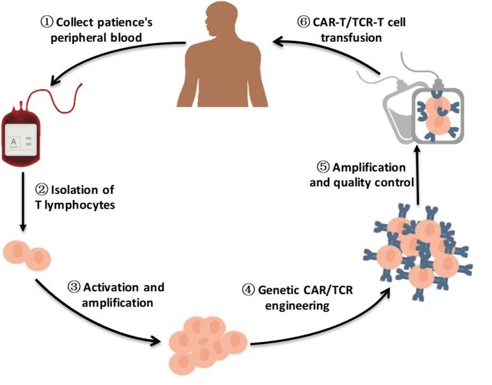 AIBCCR 2022_CAR-T cells Gao Amir Horowitz Hind Rafei David Akhavan
