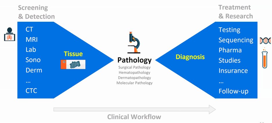 computer assisted pathological diagnosis