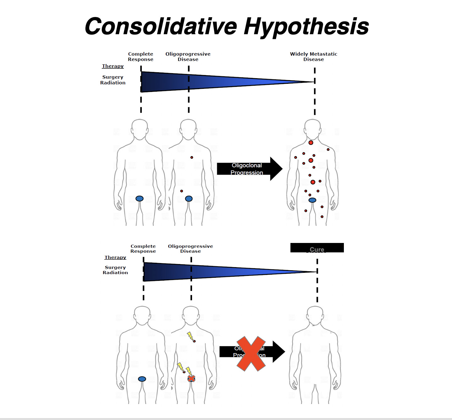 consolidative hypothesis
