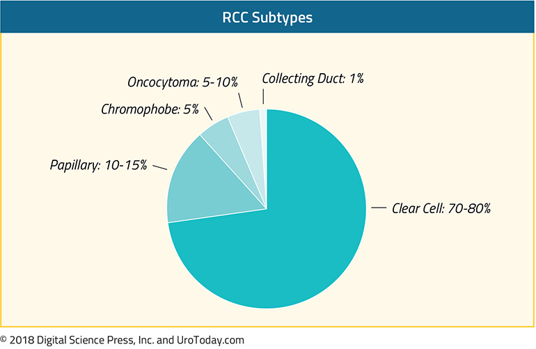 diagram-1-treatment-non-clear-cell-RCC@2x.jpg