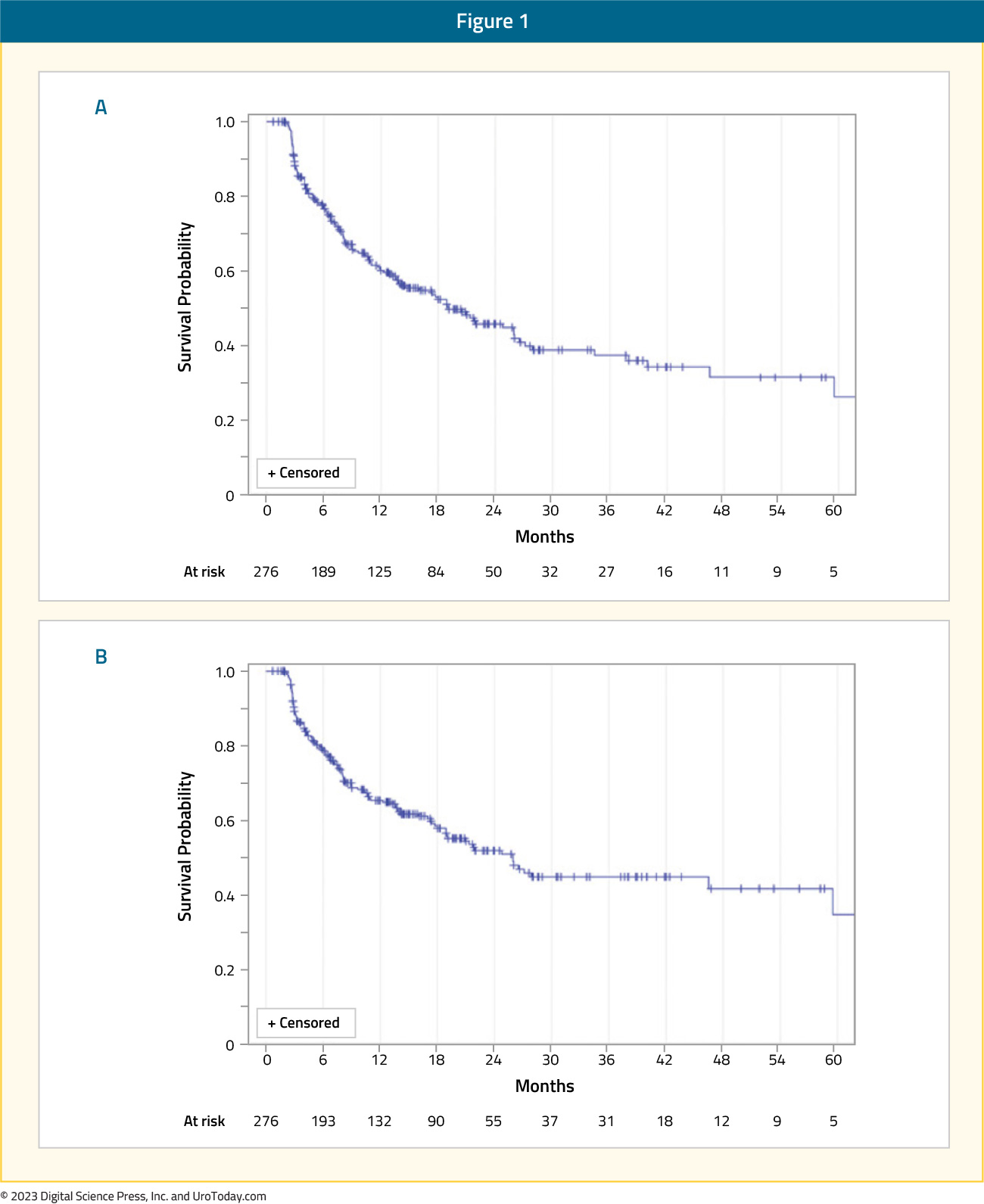 figure-1-intravesical-chemo.jpg