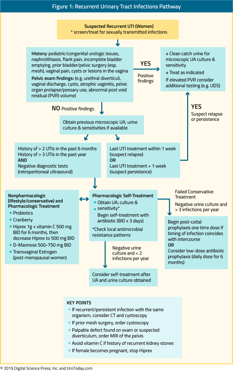 figure-1-recurrent-UTI-pathway2x_1.jpg