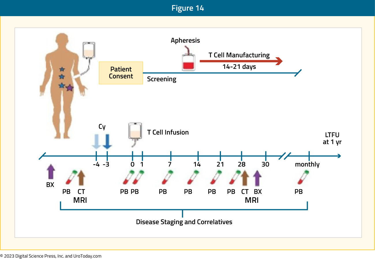 figure-14-mCRPC-novel-therapies2x.jpg