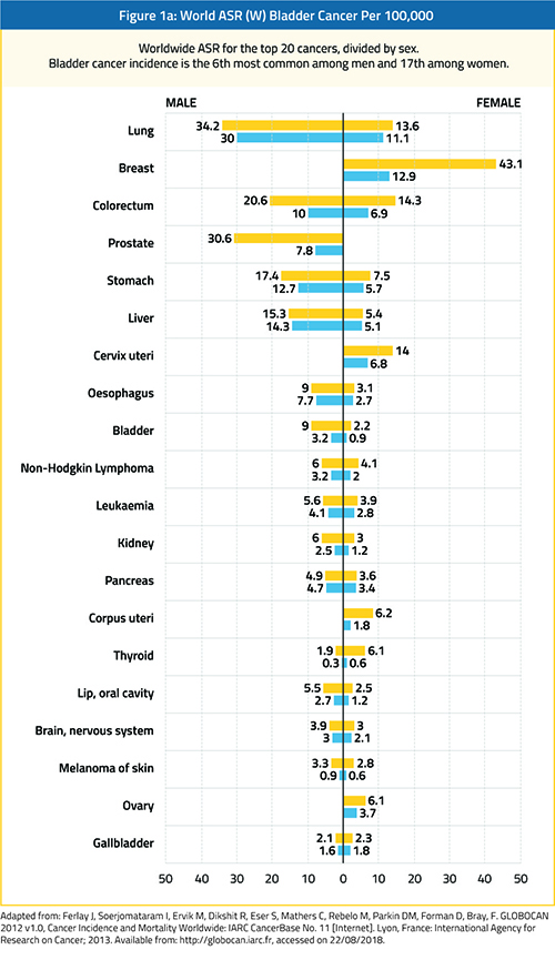 figure-1a-epidemiology-bladder-cancer@2x.jpg