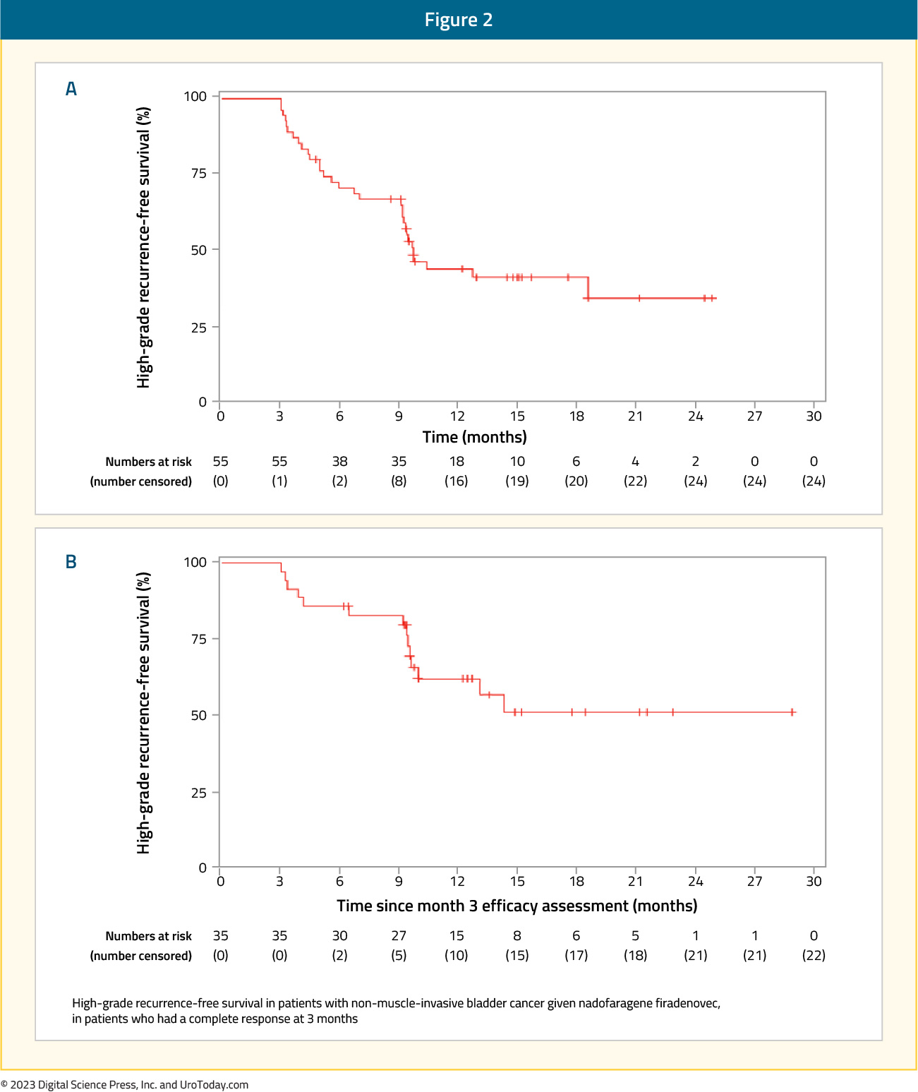 figure-2-BCG-unrepsonsive-NIMBC.jpg