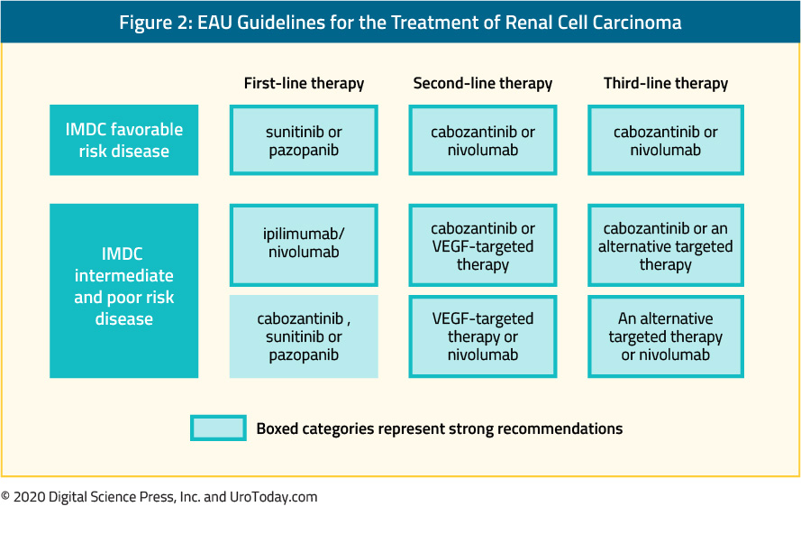 figure-2-EAU-guidelines-RCC-treatment2x.jpg