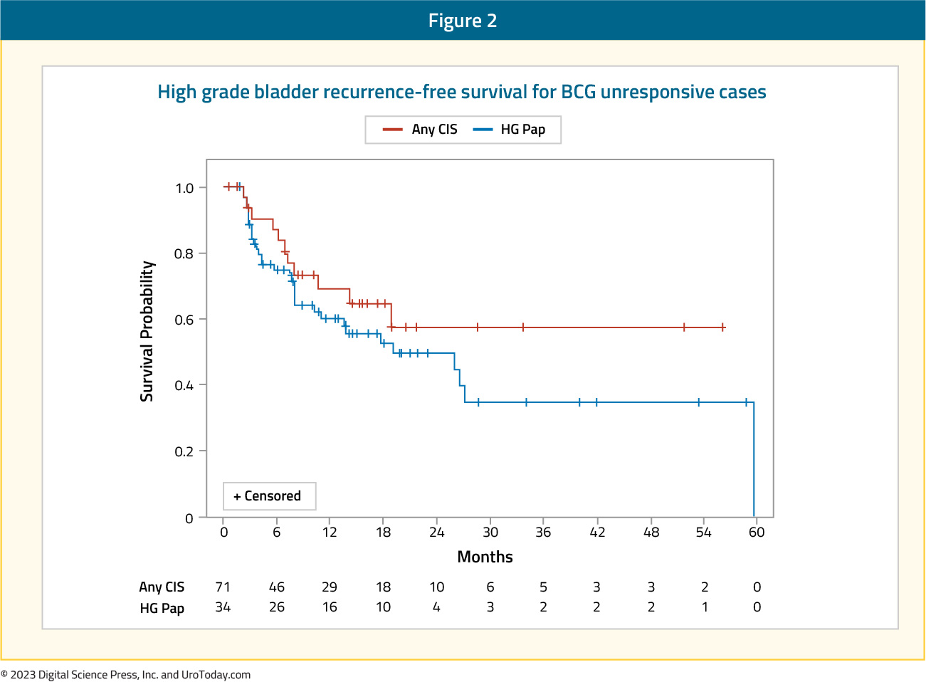 figure-2-intravesical-chemo.jpg
