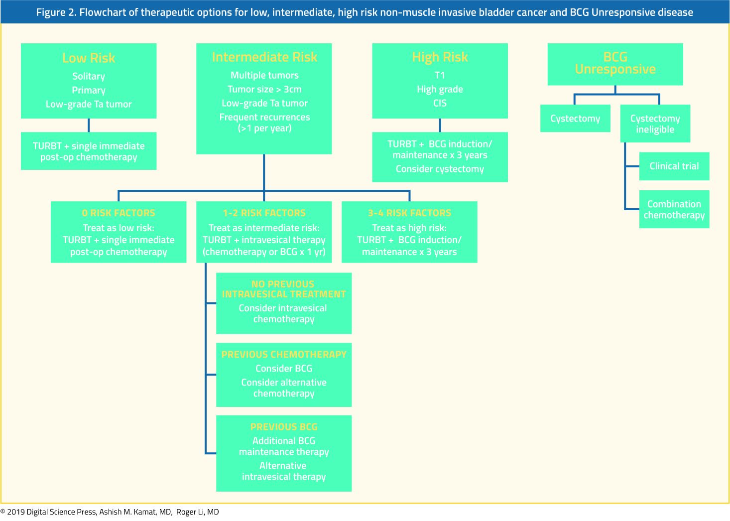 figure-2-non-muscle-invasive-bladder-cancer@2x.jpg