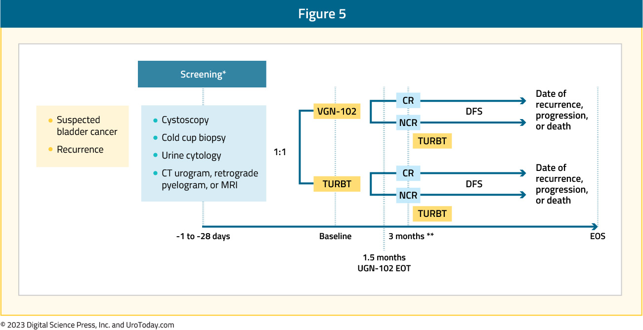 figure-5-bladder-cancer-chemoablation.jpg