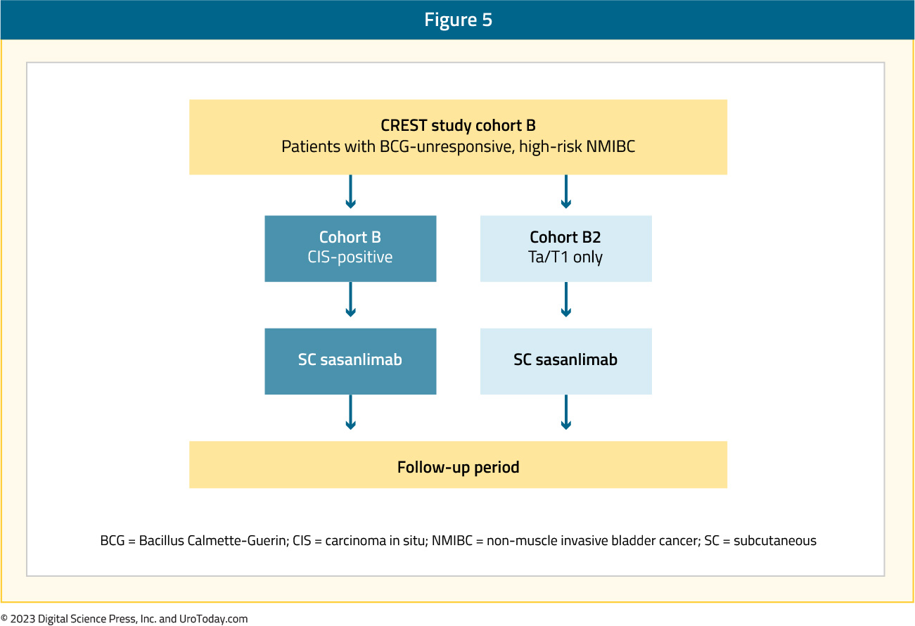 figure-5-immune-checkpoint-inhibitors_1.jpg