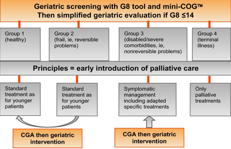 geriatric screening with G8 tool and mini COG