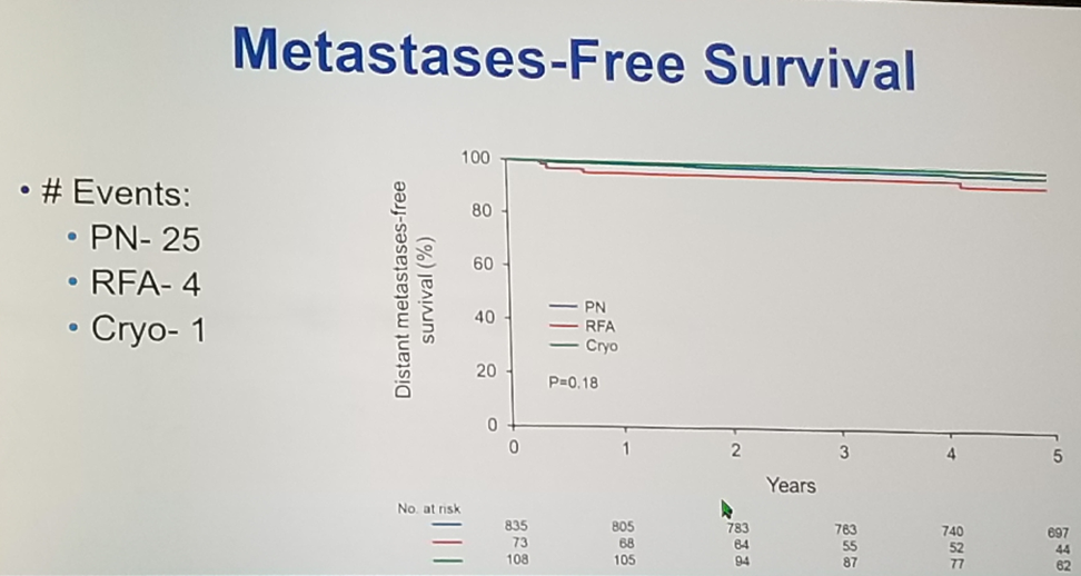 metastases free survival