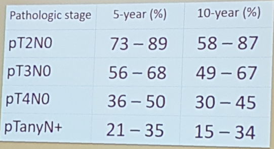 neoadjuvant chemotherapy stratified by pathologic stage