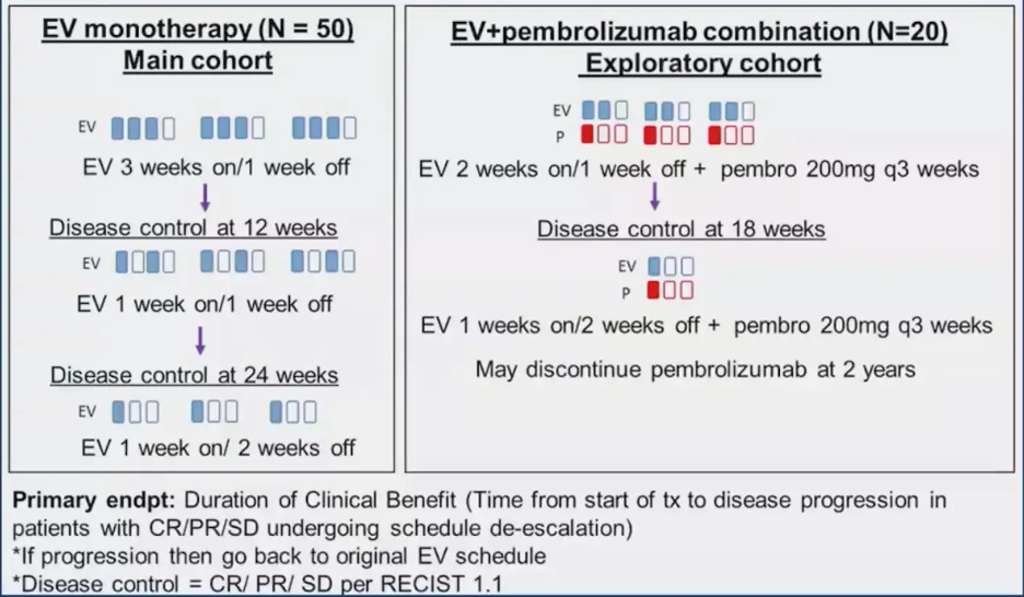 pembrolizumab.png
