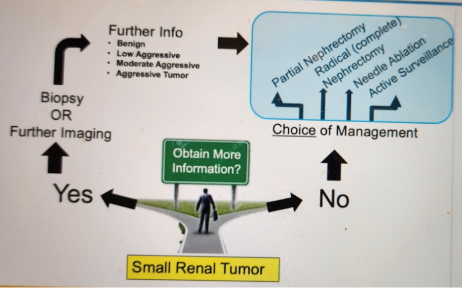 renal_tumor_AUA.png