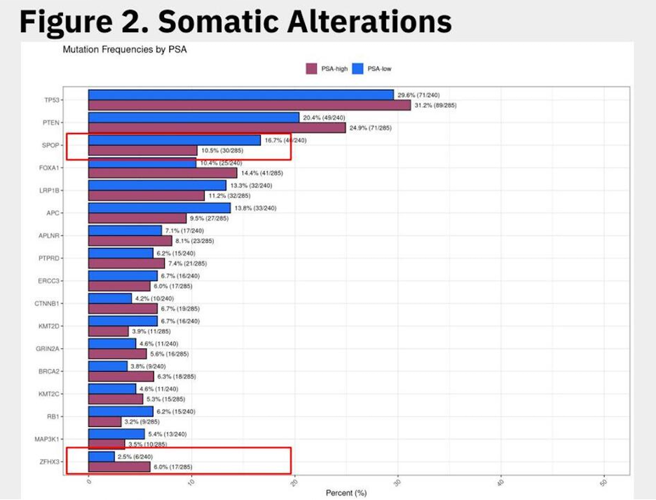 somatic_alterations.jpeg