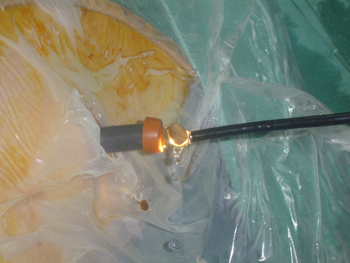 bta lezrek-fig-4