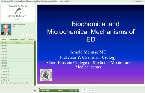 view multimedia presentation