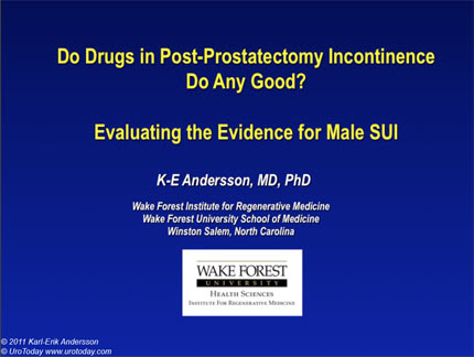 View or download the presentation as a .pdf file
