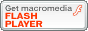 download Flash Player