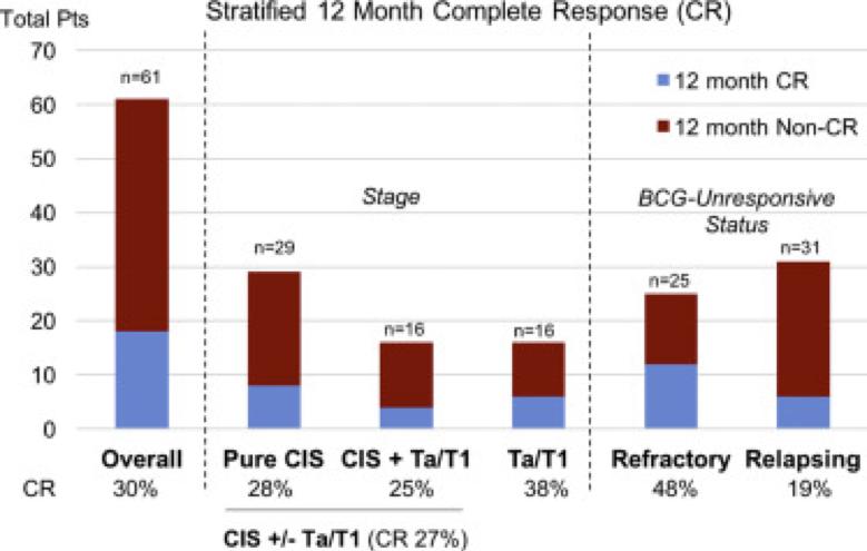 stratified 12 Month complete response