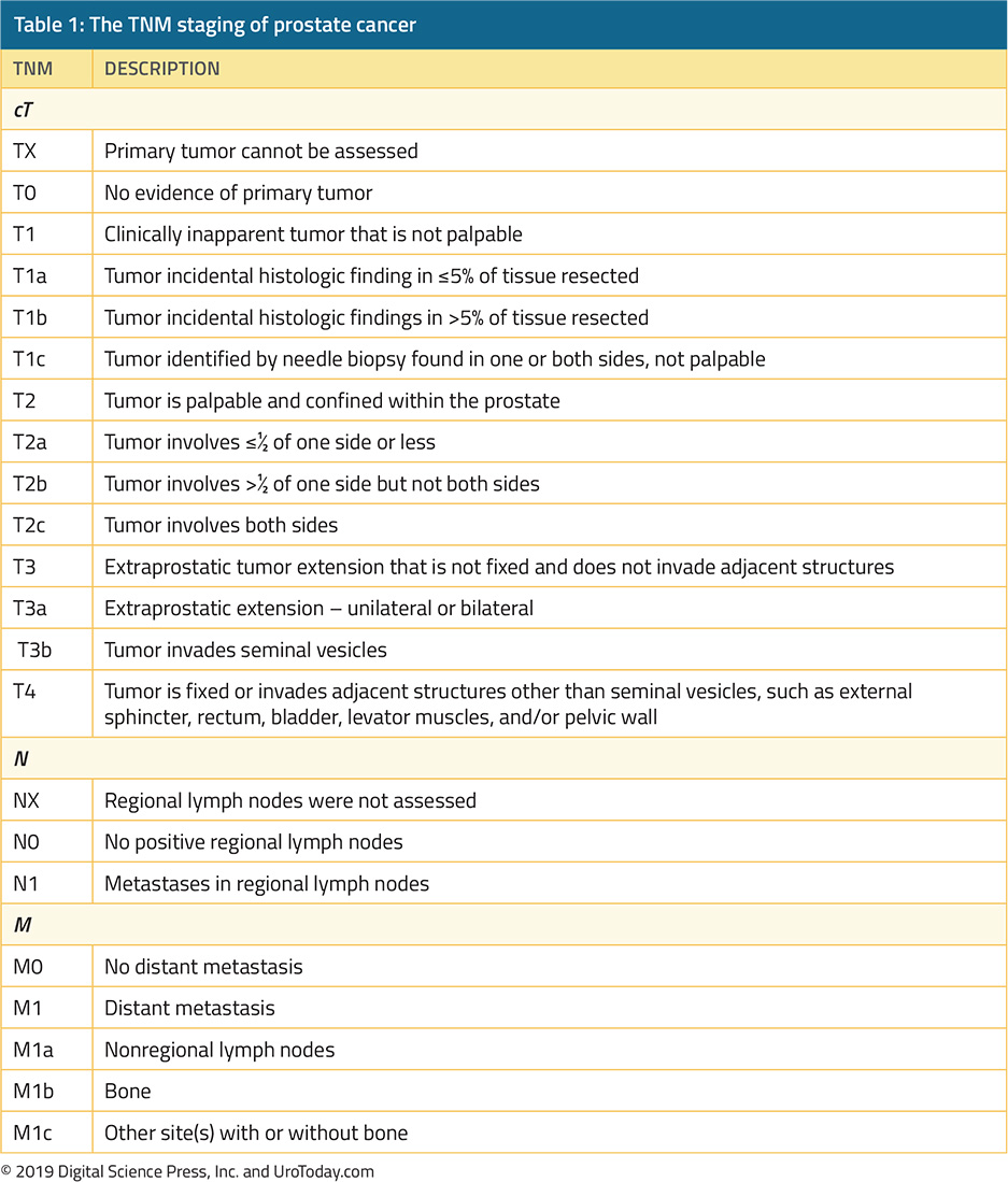 prostate cancer staging