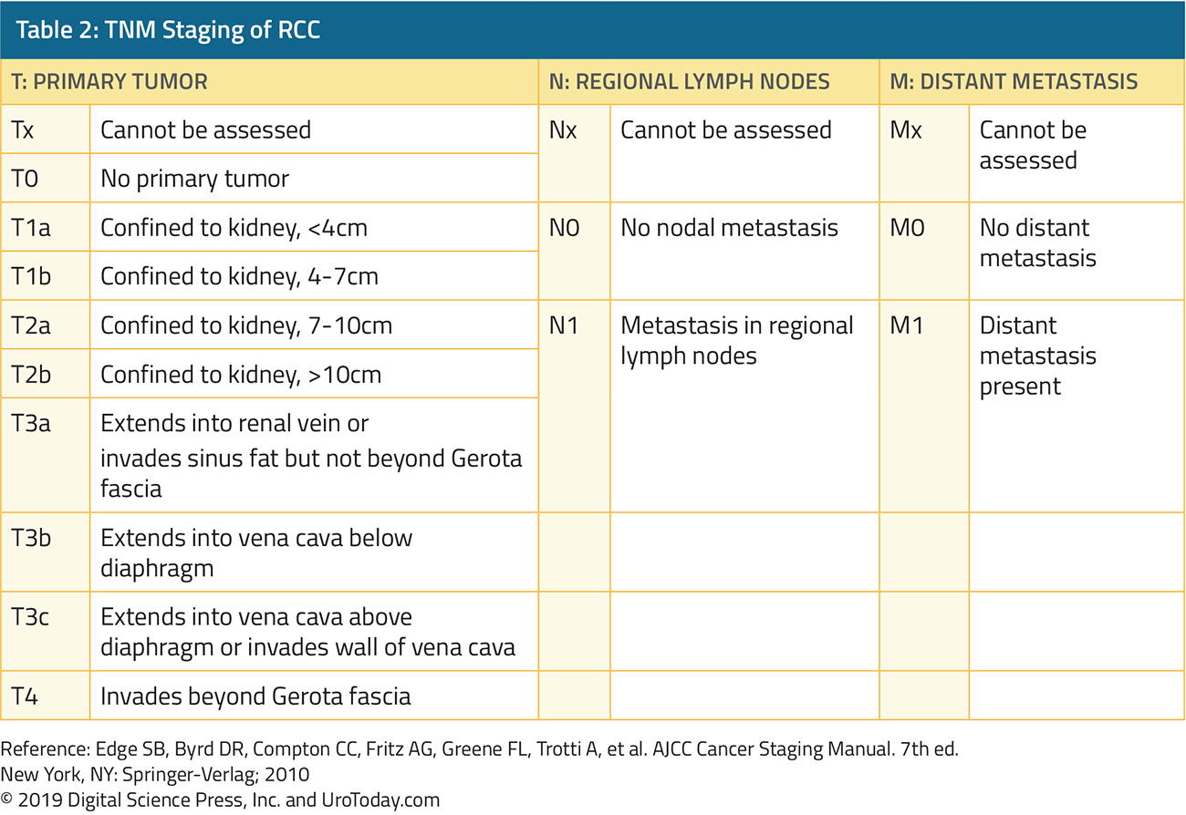 table-2-malignant-renal-tumors@2x.jpg