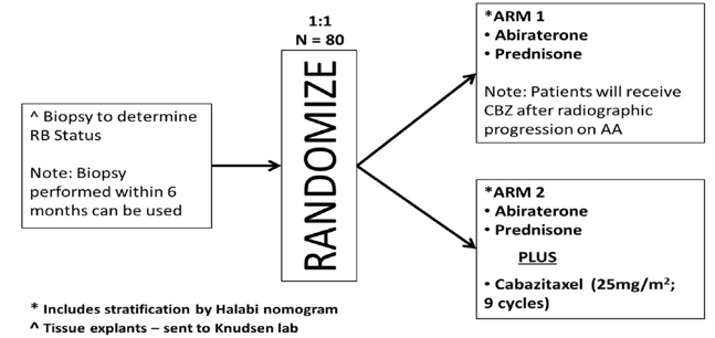 trial schema