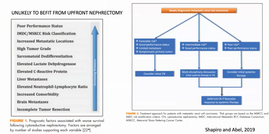 unlikely to benefit from upfront nephrectomy
